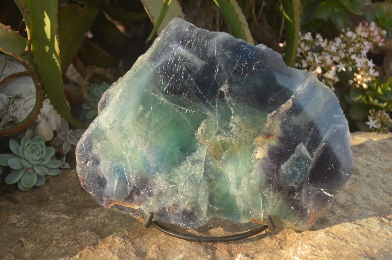 Polished  Watermelon Fluorite Slice With Custom Metal Stand  x 1 From Uis, Namibia